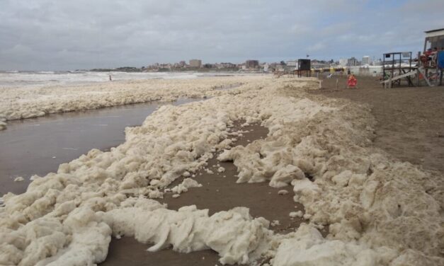La explicación científica de la espuma que se formó en las costas de Mar del Plata