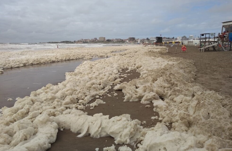 La explicación científica de la espuma que se formó en las costas de Mar del Plata