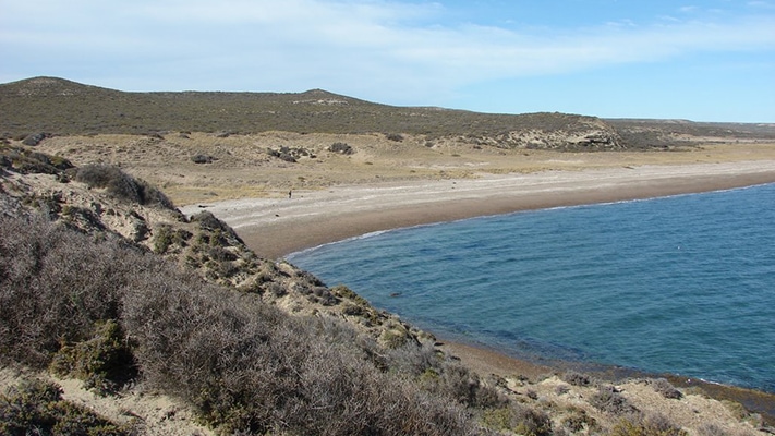 Levantaron la veda precautoria por marea roja en Chubut