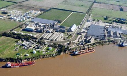 Bajante del Paraná: impacto en la distribución de cargas y tiempo de permanencia de buques