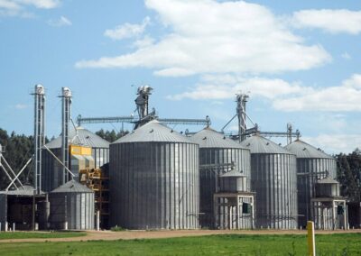 Agroexportadores liquidaron en enero un 32% más de divisas y alcanzaron US$ 2.140 millones