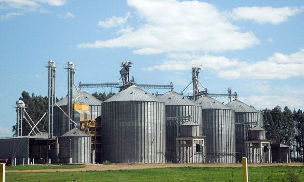 Agroexportadores liquidaron en enero un 32% más de divisas y alcanzaron US$ 2.140 millones