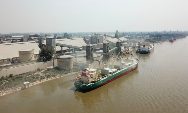 Las exportaciones de harina de soja cayeron a su nivel más bajo en 20 años