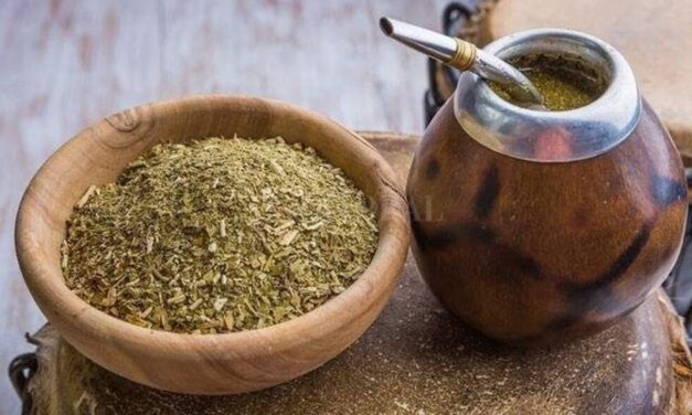 Creció la exportación de yerba mate