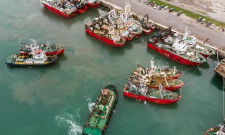 Puerto: un paro en la flota congeladora langostinera de tres empresas