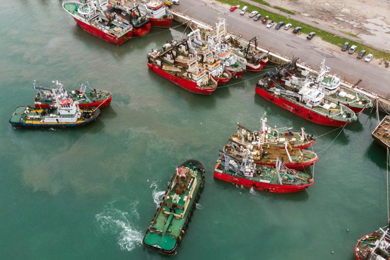 Puerto: un paro en la flota congeladora langostinera de tres empresas
