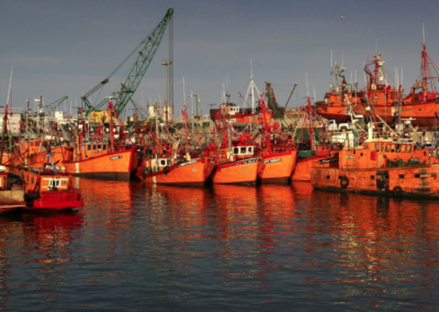 La ley de pesca se bajó del omnibús