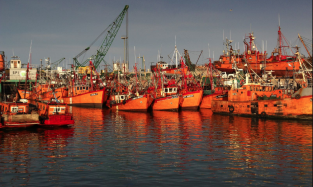 Presentaron una única oferta para dragar el Puerto de Mar del Plata