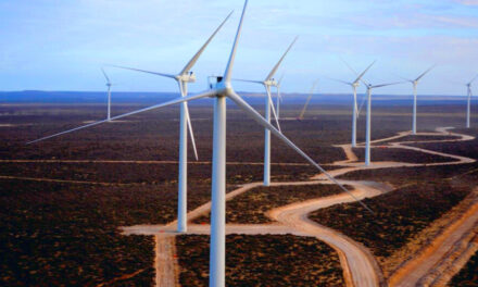 La Cámara Eólica Argentina advirtió por las consecuencias del «impuesto al viento» en Chubut