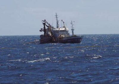 Presentan querella para que se investigue la pesca ilegal de merluza