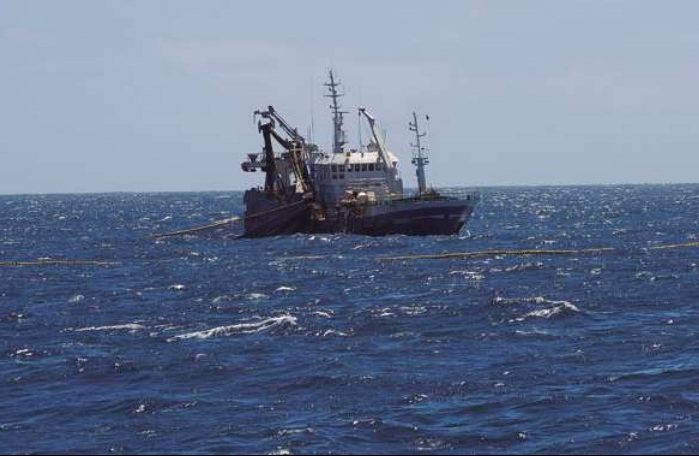 Presentan querella para que se investigue la pesca ilegal de merluza
