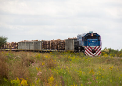 Trenes Argentinos de Carga continúa con las obras de mejoramiento de vía en la Mesopotamia