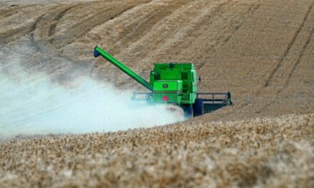 Estiman que el agro aportará en 2021 una producción equivalente a más de US$ 40.000 millones