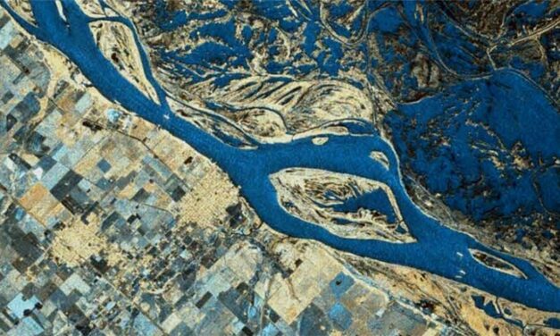 Agua virtual: qué es este componente clave y geoestratégico del comercio internacional