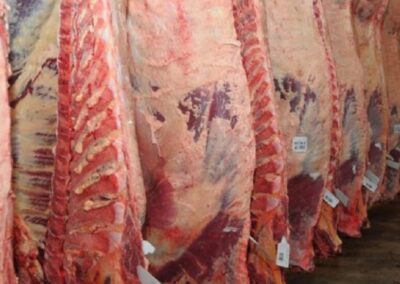 En febrero, las exportaciones de carne bovina aumentaron un 5% interanual