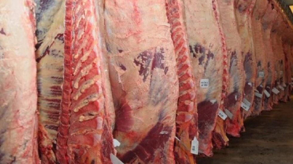 En febrero, las exportaciones de carne bovina aumentaron un 5% interanual