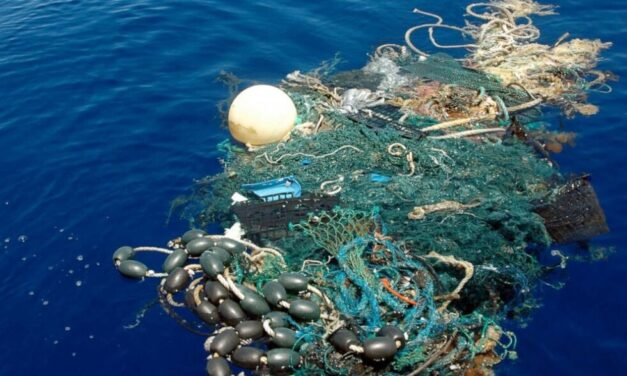 Prefectura participa en la  “Operación 30 días en el Mar 3.0”