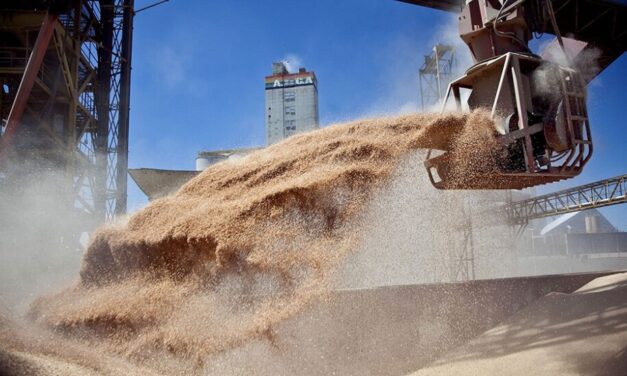 La liquidación de divisas del agro alcanzó los US$ 3.950 millones en el primer bimestre
