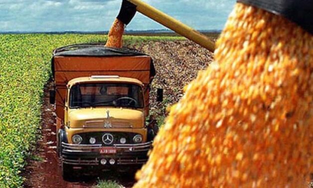 Para la BCR el Maíz 2020/21 podría dejar al país un ingreso cercano a los US$ 8.000 mill.