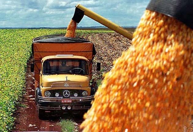 Para la BCR el Maíz 2020/21 podría dejar al país un ingreso cercano a los US$ 8.000 mill.
