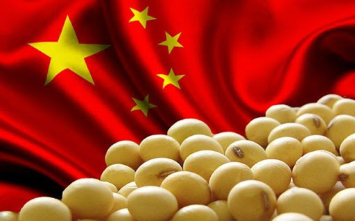China, un mercado con perspectivas gigantes para las exportaciones argentinas