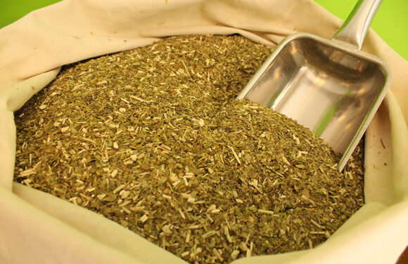 La Argentina logró la apertura del mercado de yerba mate a India
