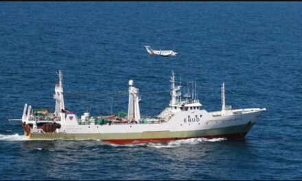 Presentaron un amparo contra la pesca ilegal y depredadora en el sur