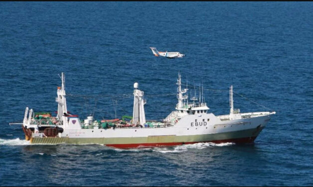 Presentaron un amparo contra la pesca ilegal y depredadora en el sur