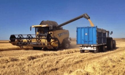 La cebada argentina se posiciona en el mercado mundial