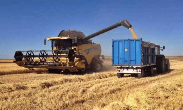 La cebada argentina se posiciona en el mercado mundial