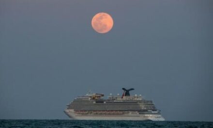 Cruceros podrán volver a zarpar desde Florida a partir de julio