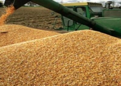 Argentina tendría la tercer mayor cosecha de maíz de su historia