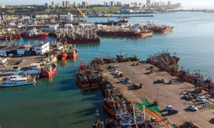 El Puerto Mar del Plata es designado como “corredor seguro” para enfrentar la pandemia