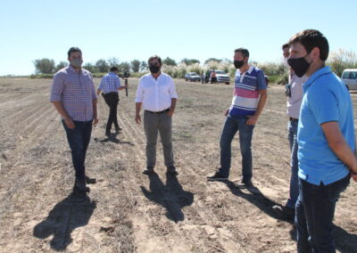 San Luis cultiva alfalfa para disminuir el desbalance hídrico de la Cuenca del Morro