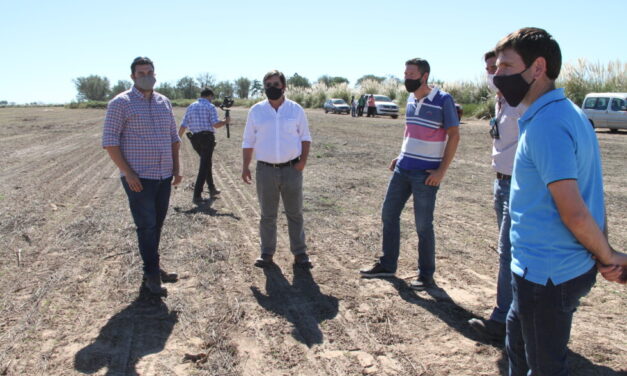 San Luis cultiva alfalfa para disminuir el desbalance hídrico de la Cuenca del Morro