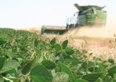Argentina vuelve a ser este año el principal proveedor mundial de soja