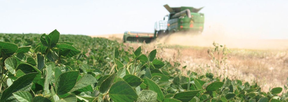 Argentina vuelve a ser este año el principal proveedor mundial de soja