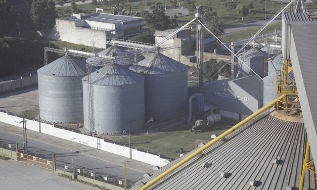 Agroindustria: empresas y sindicatos piden prioridad para vacunar a sus trabajadores