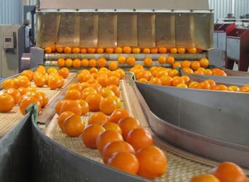 Argentina consiguió que Perú abra su mercado para los cítricos y nueces locales