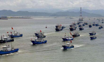 Monitorean el ingreso de barcos chinos para evitar la pesca ilegal