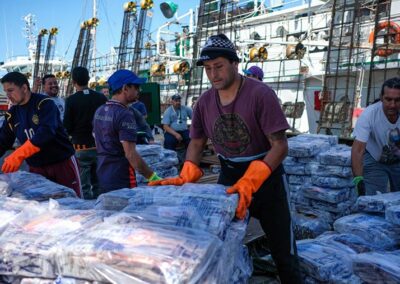 Pesca de Calamar supera las 110 mil toneladas, Mar del Plata lidera la descarga