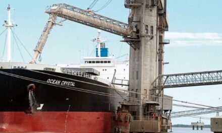 Empatan las Exportaciones en el primer Trimestre del 2021