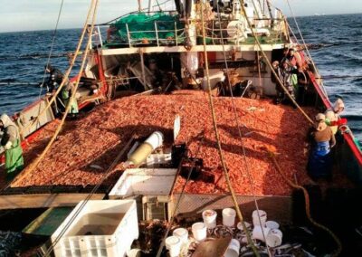 Chubut impone sanciones a quienes violan la Ley de Pesca