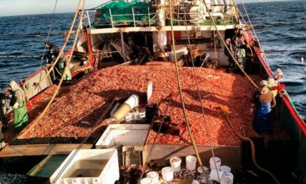 Chubut impone sanciones a quienes violan la Ley de Pesca