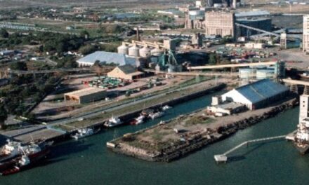 Se descargaron 281.835 toneladas de granos en el puerto de Bahía Blanca