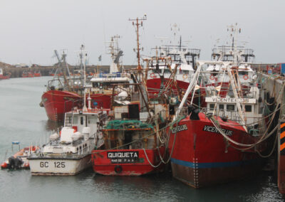 Testeos de vigilancia en trabajadores del Puerto Caleta Paula, ante segunda ola de contagios