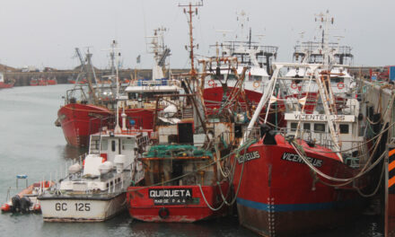 Testeos de vigilancia en trabajadores del Puerto Caleta Paula, ante segunda ola de contagios