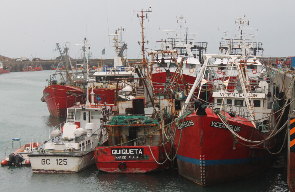 Testeos de vigilancia en trabajadores del Puerto Caleta Paula, ante segunda ola de contagios