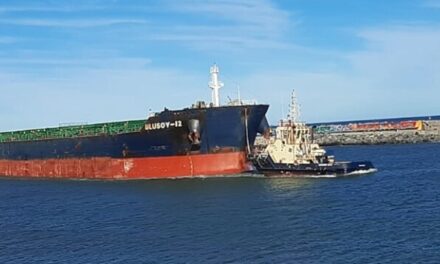 Puerto Quequén iguala su marca de siete movimientos en una jornada