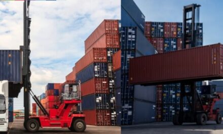 ¿Cuáles son los desafíos que enfrentaron los especialistas en logística y comercio exterior?